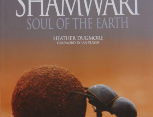 SHAMWARI Soul of The Earth