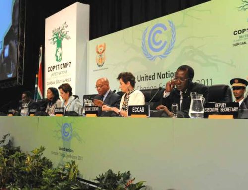 COP17 & the Role of SA Business