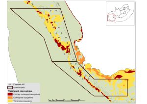 marine-phosphate-mining-prospecting-rights-overlap-with-threatened-ecosystem